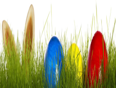 Easter Egg Grass, Seasonal Craft, Holiday Accent, Colorful Shredded Grass, Easter Basket Filler PNG