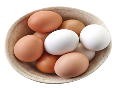 Egg Bowl, Rivalry, Celebration, Thanksgiving, Mississippi PNG