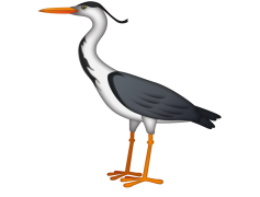 Egret Bird, Habitat, Wading, White Feathers, Shoreline PNG