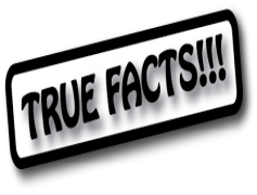 Fact, Creative, Inspired, Unique, Collection PNG