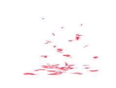Falling Rose Petals, Beauty, Nature, Floral, Serenity PNG