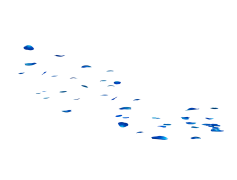 Falling Rose Petals, Beauty, Serenity, Floral, Nature PNG