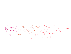 Falling Rose Petals, Romantic, Soft, Beauty, Serenity PNG