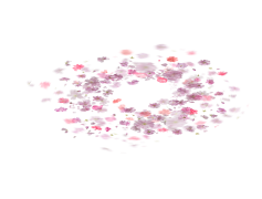 Falling Rose Petals, Soft, Delicate, Romantic, Beauty PNG