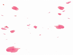 Falling Rose Petals, Softness, Beauty, Floral, Romance PNG