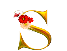 Fancy Alphabet, Stylish Characters, Elegant Writing, Custom Typefaces, Decorative Letters PNG