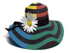 Fancy Hat PNG Image