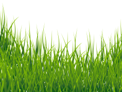 Field, Crop, Landscape, Meadow, Agriculture PNG