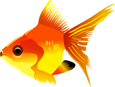 Fish Cartoon, Fun, Humor, Adventure, Whimsical PNG