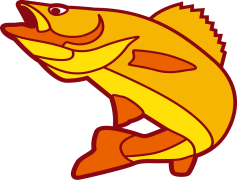 Fish Cartoon, Ocean, Humor, Characters, Sea Life PNG
