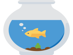 Fish Tank Vector, Marine Environment, Fishes, Fish Species, Aquarium Decor PNG