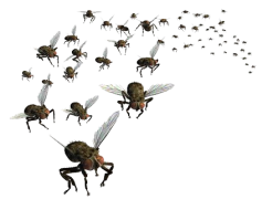 Flies PNG Pic