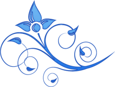 Floral Swirl, Bloom, Nature, Elegant, Swirling PNG