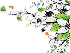 Flower Colorful, Nature Palette, Vibrant Blossoms, Lush Gardens, Cheerful Bouquets PNG