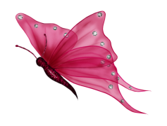Flying Butterflies Transparent Background