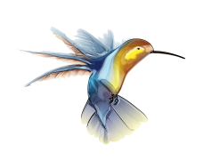 Flying Watercolor Hummingbird, Artistic, Nature, Bird, Colorful PNG