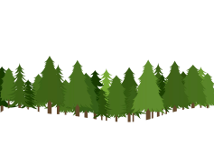 Forest, Nature, Greenery, Trails, Wildlife PNG