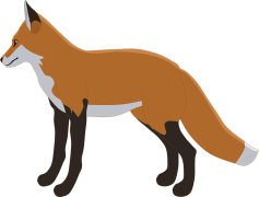 Fox Vector, Animal Graphic, Wild Fox, Wildlife Vector, Creative Artwork PNG