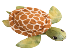 Franklin The Turtle, Fun, Friendship, Adventure, Exploration PNG