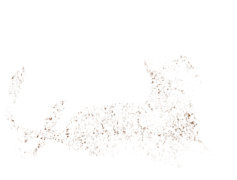 Freckles, Charm, Skin, Unique, Dots PNG