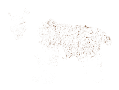 Freckles, Skin, Unique, Flawless, Natural PNG