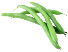 French Beans, String Beans, Garden Beans, Green Beans, Fresh Beans PNG