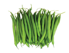 French Beans, String Beans, Snap Beans, Fresh Legumes, Green Beans PNG