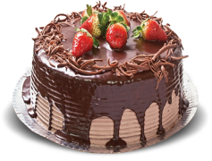 Fresh Chocolate Cake, Moist, Cocoa, Rich, Delicious PNG