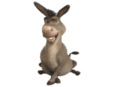 Funny Donkey, Comical, Cute, Humor, Animal PNG