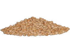 Garbanzo Beans, Healthy Snacks, Legumes, Versatile Ingredient, Plant-Based Protein PNG