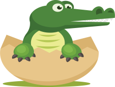 Gator, Ecosystem, Predator, Amphibian, Reptile PNG