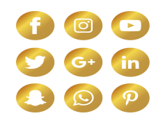 Gold Social Media Icons, Sophisticated Social Symbols, Premium Sharing Icons, Elegant Social Links, Luxe Network Symbols PNG