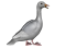 Goose, Bird, Fowl, Avian, Animal PNG