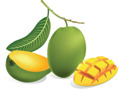 Green Mango PNG