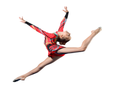 Gym Equipment, Bodybuilding Equipment, Training Devices, Strength Machines, Workout Gear PNG