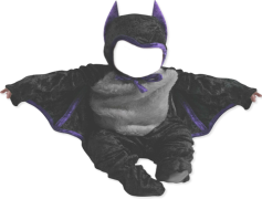 Halloween Costumes Baby, Festive Wear, Spooky Dress-Up, Halloween Themes, Cute Outfits PNG