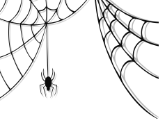Halloween Spider, Trick-or-Treat, Creepy, October, Costume PNG