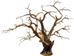 Halloween Tree, Haunted Night, Spooky Decor, Jack-O-Lanterns, Seasonal Celebration PNG