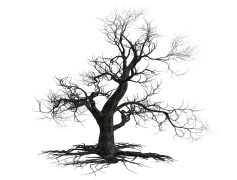 Halloween Tree, Spooky, Ghost, Autumn, Celebration PNG