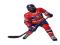 Hockey, Skates, Ice, Rink, Puck PNG
