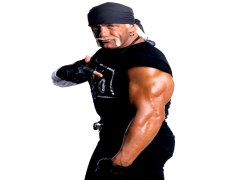 Hulk Hogan, Wrestling Legend, Hulkamania, Professional Wrestler, Action Hero PNG