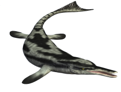 Ichthyosaur, Extinct, Dinosaur, Predatory, Fossil PNG