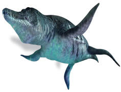 Ichthyosaur, Reptile, Jurassic, Dinosaur, Predator PNG
