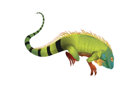 Iguana, Tropical, Exotic, Pet, Green PNG