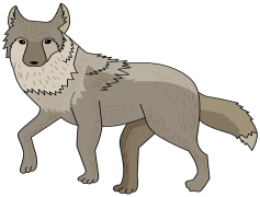 Jackal, Social, Adaptable, Canine, Predator PNG