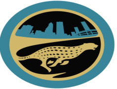 Jacksonville Jaguars, Duval County, Football Franchise, Mascot Jaxson, AFC South PNG