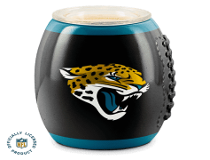 Jacksonville Jaguars, Fan Base, Football Franchise, NFL Team, Professional Sports PNG
