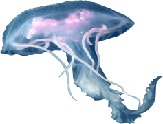 Jellyfish, Creatures, Underwater, Tentacles, Marine PNG
