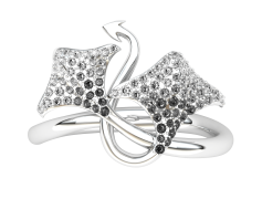 Jewellery Ring Transparent Background