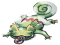 Kecleon Pokemon, Unique Abilities, Mystery, Unpredictable, Stealth PNG